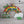 Laden Sie das Bild in den Galerie-Viewer, Regal Regenbogen für Toniebox personalisiert mit Farbwunsch für bis zu 45 Tonies