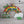 Laden Sie das Bild in den Galerie-Viewer, Regal Regenbogen für Toniebox personalisiert mit Farbwunsch für bis zu 45 Tonies
